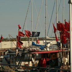 Jolly Rouge Ostsee